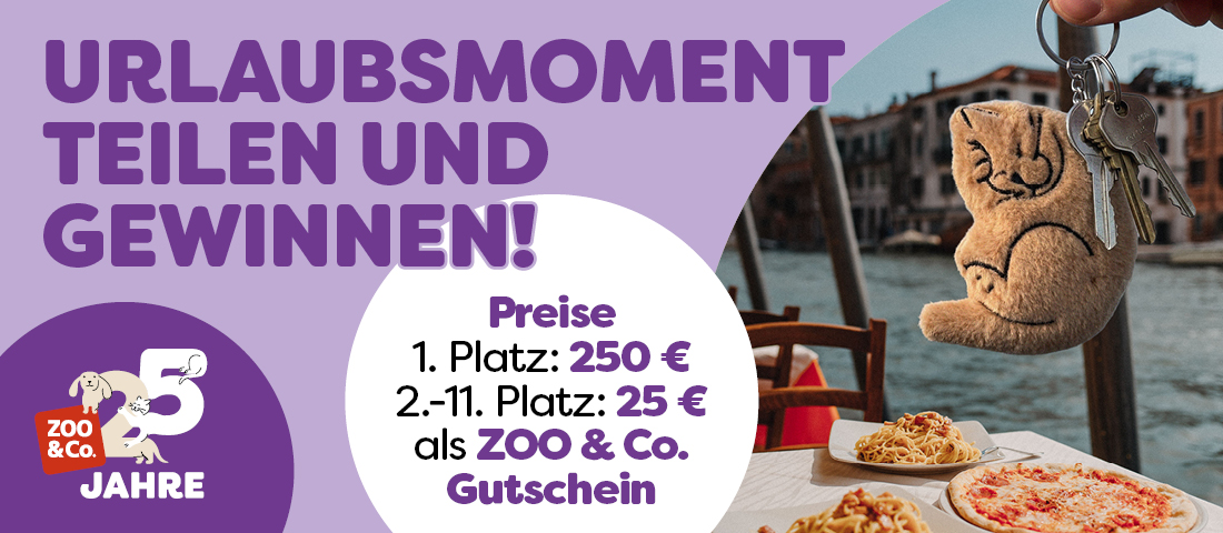 Entdecke die Aktion!