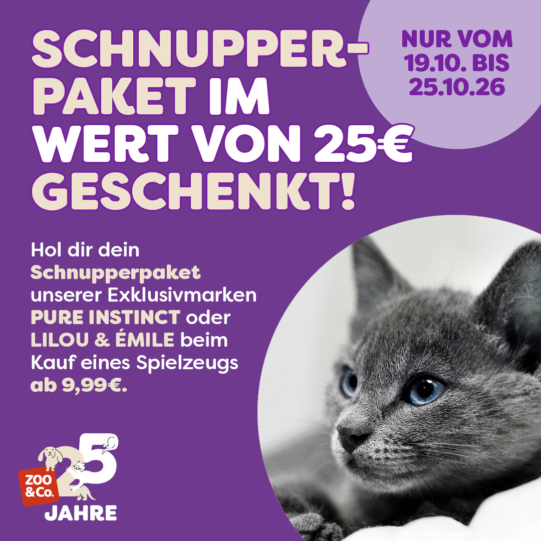 Entdecke die Spielzeugaktion mit einem Exklusivmarkenpaket!