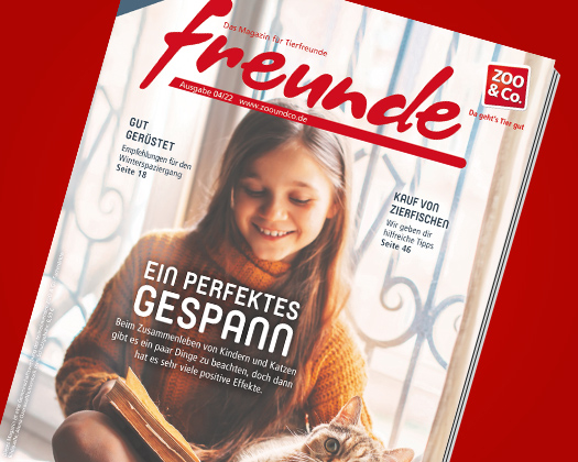 freunde-Magazin 04